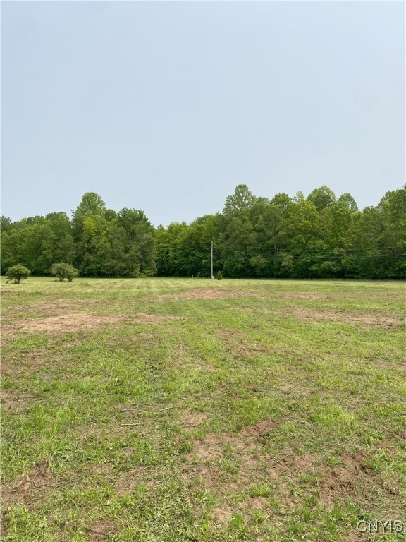 Mc Gibbon Road, Sterling, New York image 6