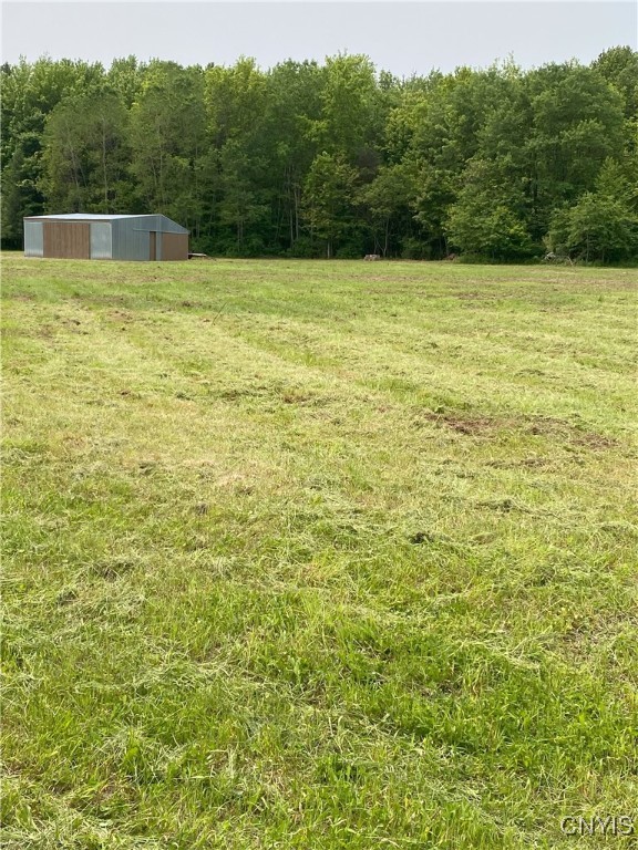 Mc Gibbon Road, Sterling, New York image 17