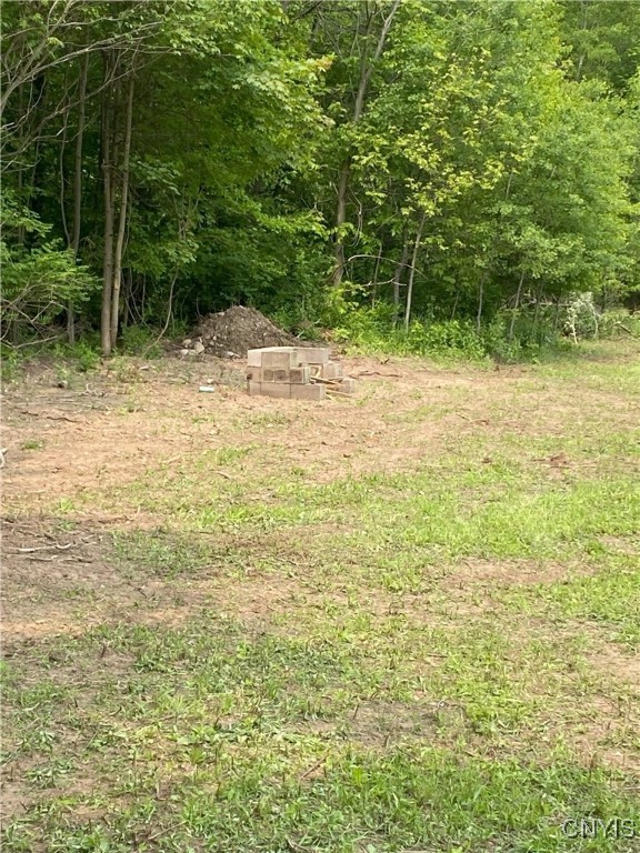 Mc Gibbon Road, Sterling, New York image 20