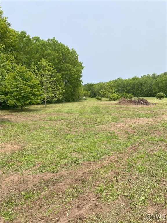 Mc Gibbon Road, Sterling, New York image 5
