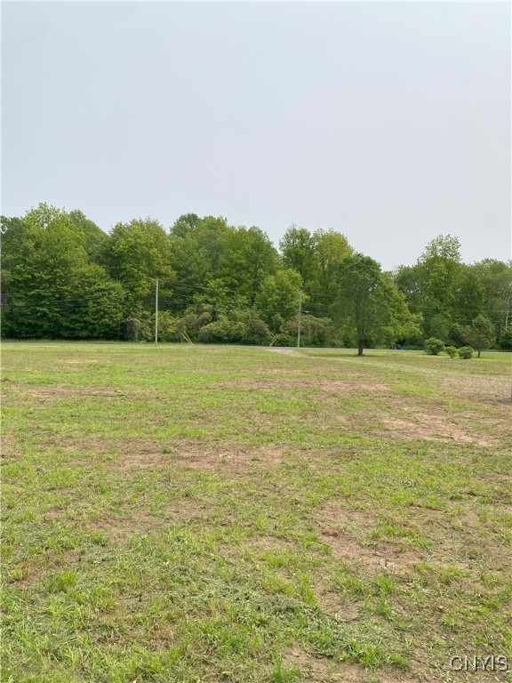 Mc Gibbon Road, Sterling, New York image 7