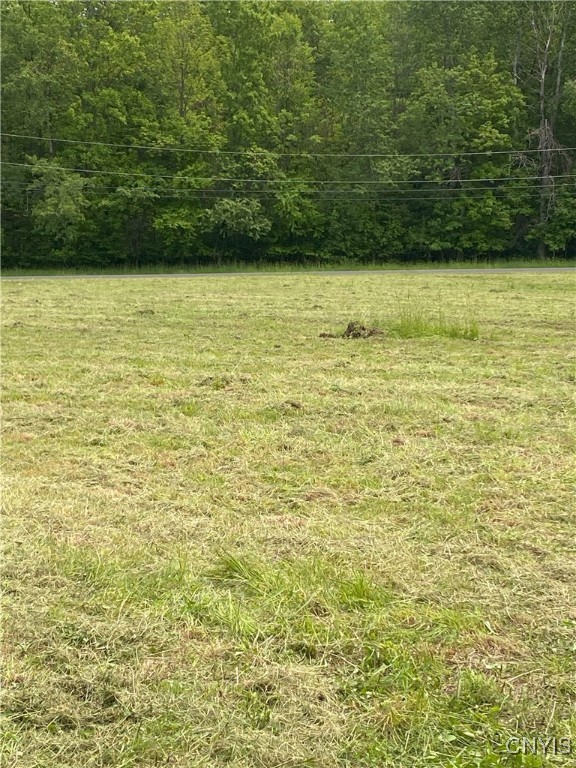 Mc Gibbon Road, Sterling, New York image 10