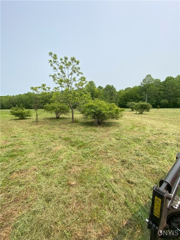 Mc Gibbon Road, Sterling, New York image 11