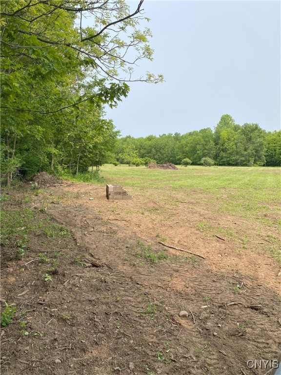 Mc Gibbon Road, Sterling, New York image 2