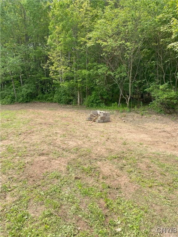 Mc Gibbon Road, Sterling, New York image 4