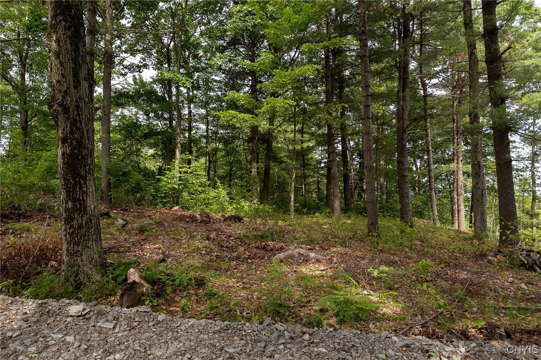 Beachfront Lane, Theresa, New York image 3