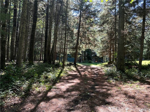 Tiny photo for 115 Chucks WAY, Indian Lake, NY 12842 (MLS # S1714296)