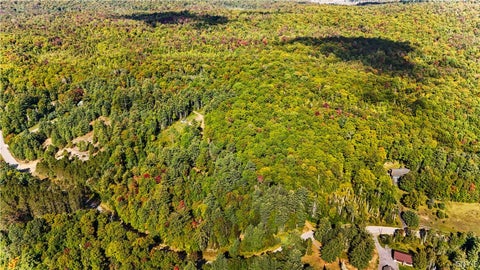 Tiny photo for 115 Chucks WAY, Indian Lake, NY 12842 (MLS # S1714296)