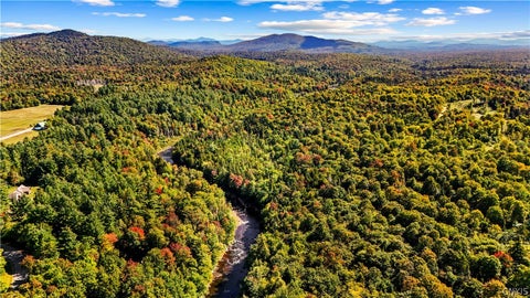Tiny photo for 115 Chucks WAY, Indian Lake, NY 12842 (MLS # S1714296)