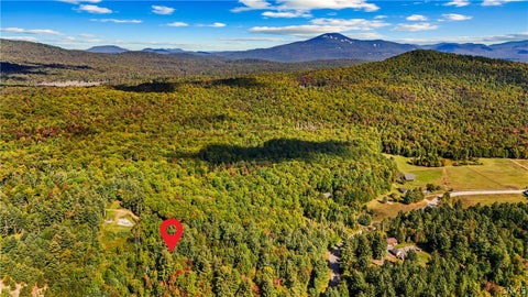 Tiny photo for 115 Chucks WAY, Indian Lake, NY 12842 (MLS # S1714296)