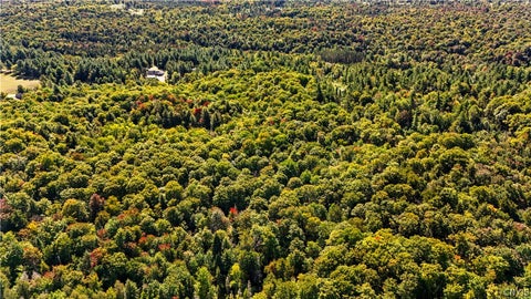 Tiny photo for 115 Chucks WAY, Indian Lake, NY 12842 (MLS # S1714296)
