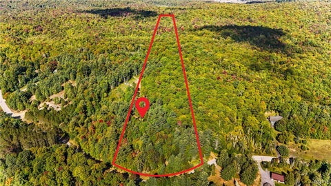 Tiny photo for 115 Chucks WAY, Indian Lake, NY 12842 (MLS # S1714296)