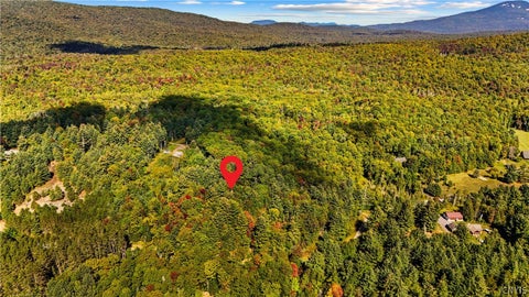 Tiny photo for 115 Chucks WAY, Indian Lake, NY 12842 (MLS # S1714296)