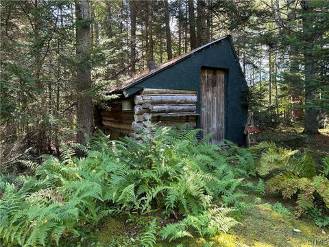 Tiny photo for 115 Chucks WAY, Indian Lake, NY 12842 (MLS # S1714296)