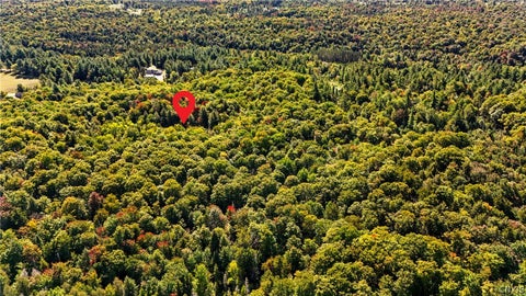 Tiny photo for 115 Chucks WAY, Indian Lake, NY 12842 (MLS # S1714296)