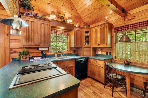 Tiny photo for 115 Chucks WAY, Indian Lake, NY 12842 (MLS # S1714296)