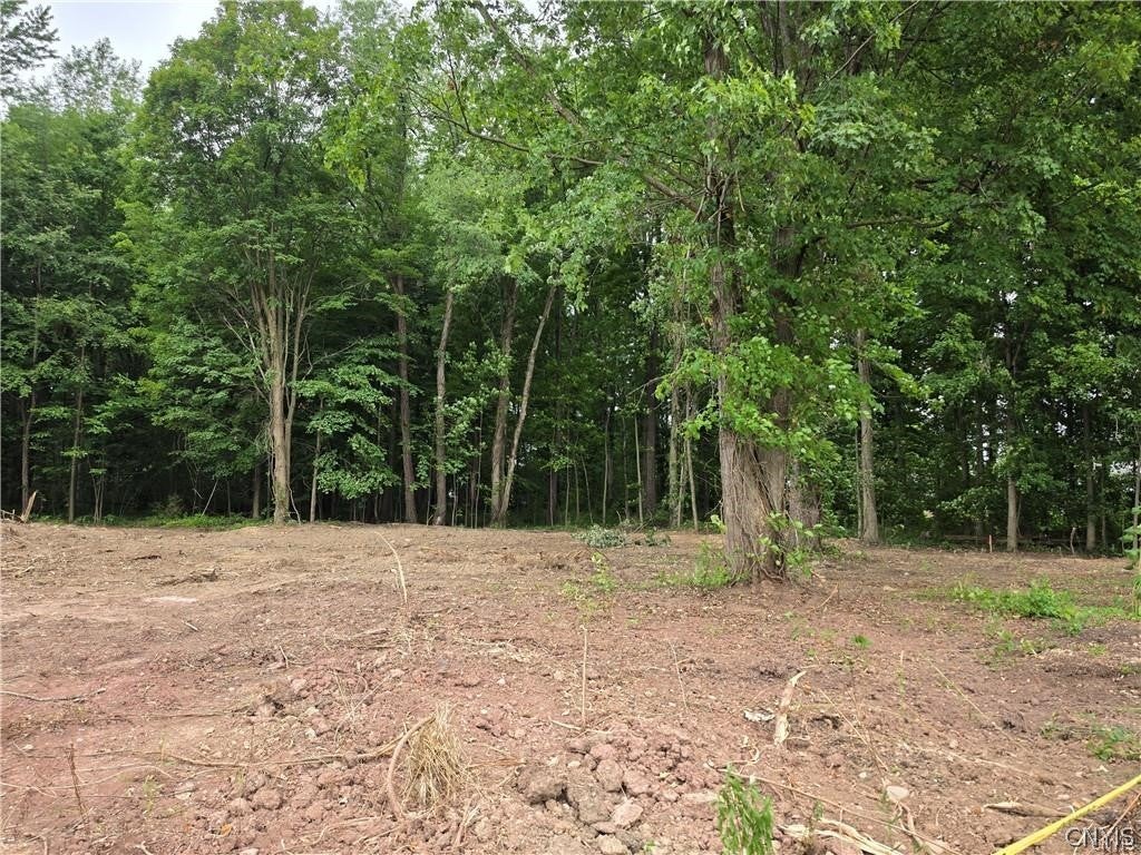 Photo of 3c Mistral Circle, Clay, NY 13090 (MLS # S1701512)