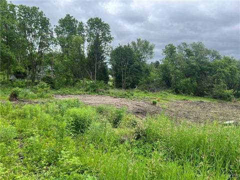 Vacant Land For Sale - Franklin Street<br/> Homer, NY 13077