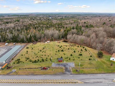 Vacant Land For Sale - 11338 Rt-12<br/> Boonville, NY 13309
