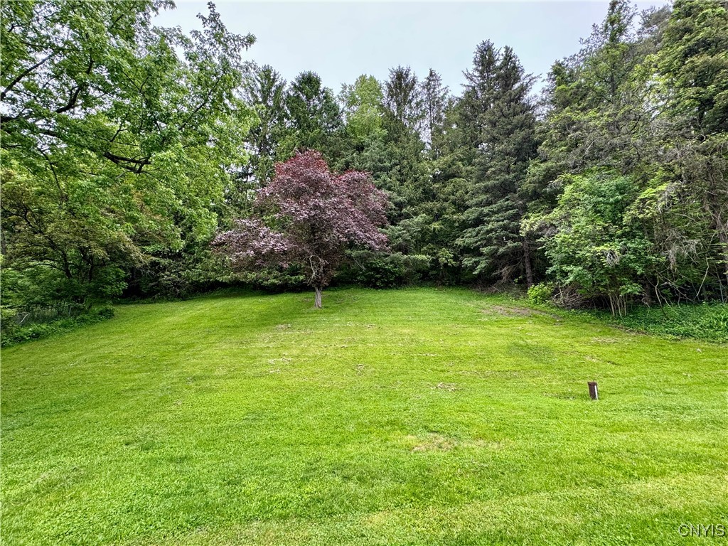8521 Cazenovia Road, Pompey, New York image 46