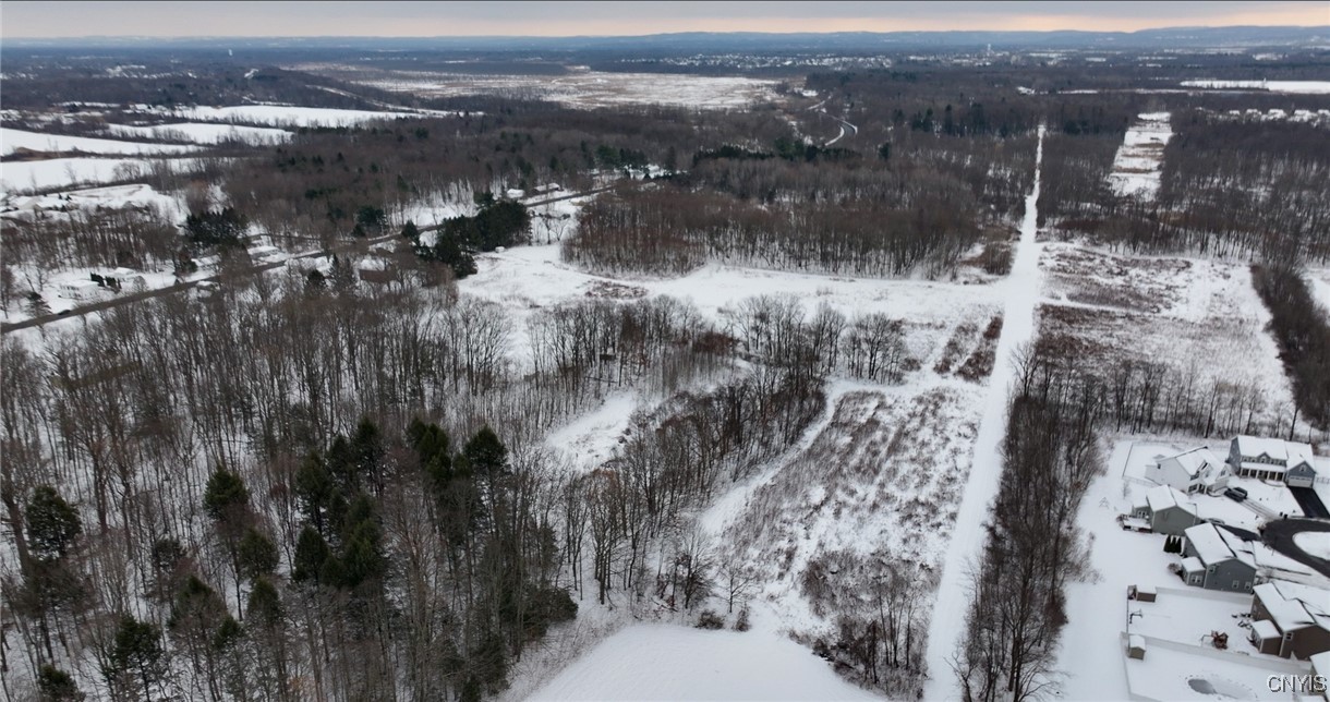 Henry Clay Boulevard