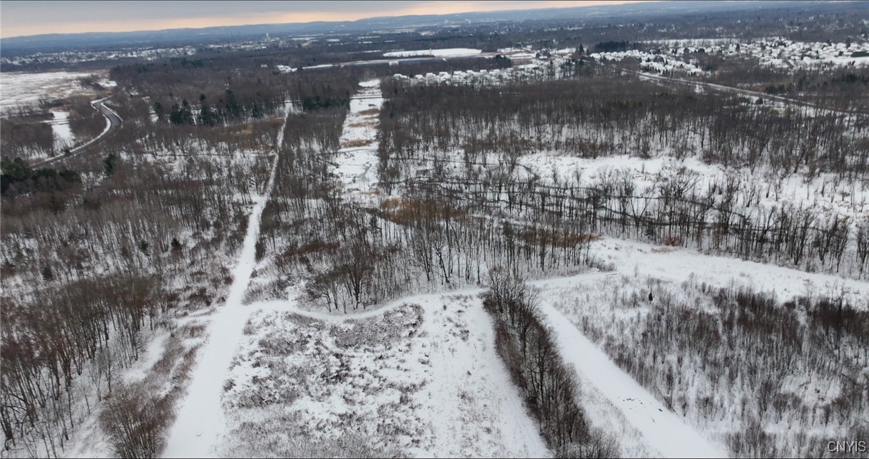 Henry Clay Boulevard