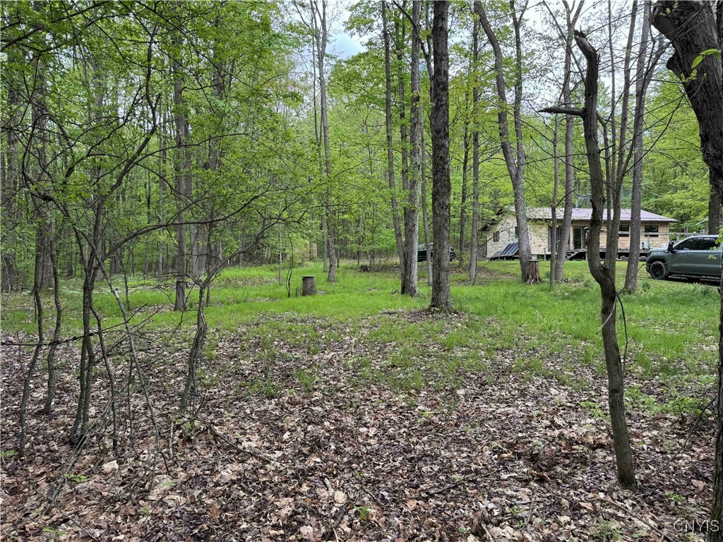 3211 Route 305 #5, Clarksville, New York image 34
