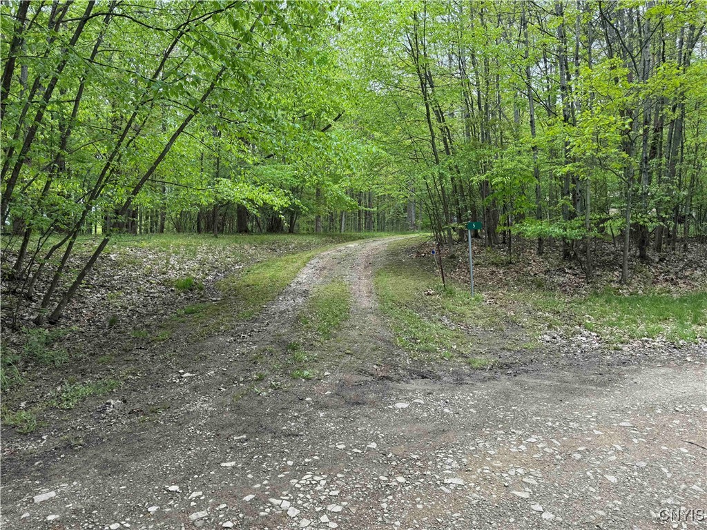 3211 Route 305 #5, Clarksville, New York image 42