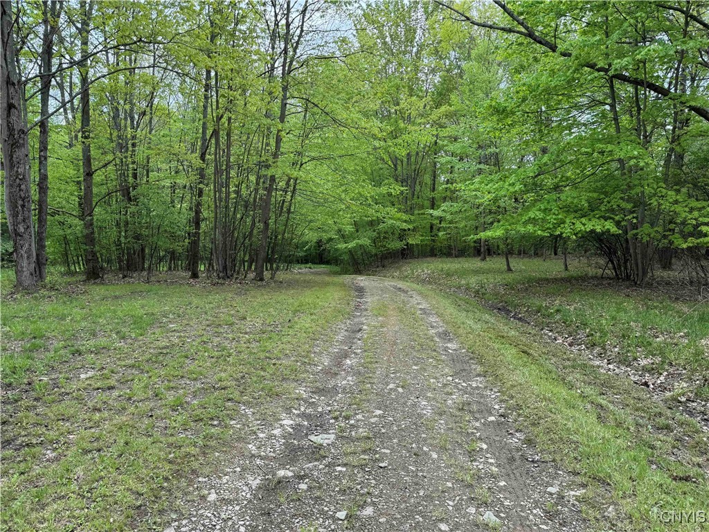3211 Route 305 #5, Clarksville, New York image 46