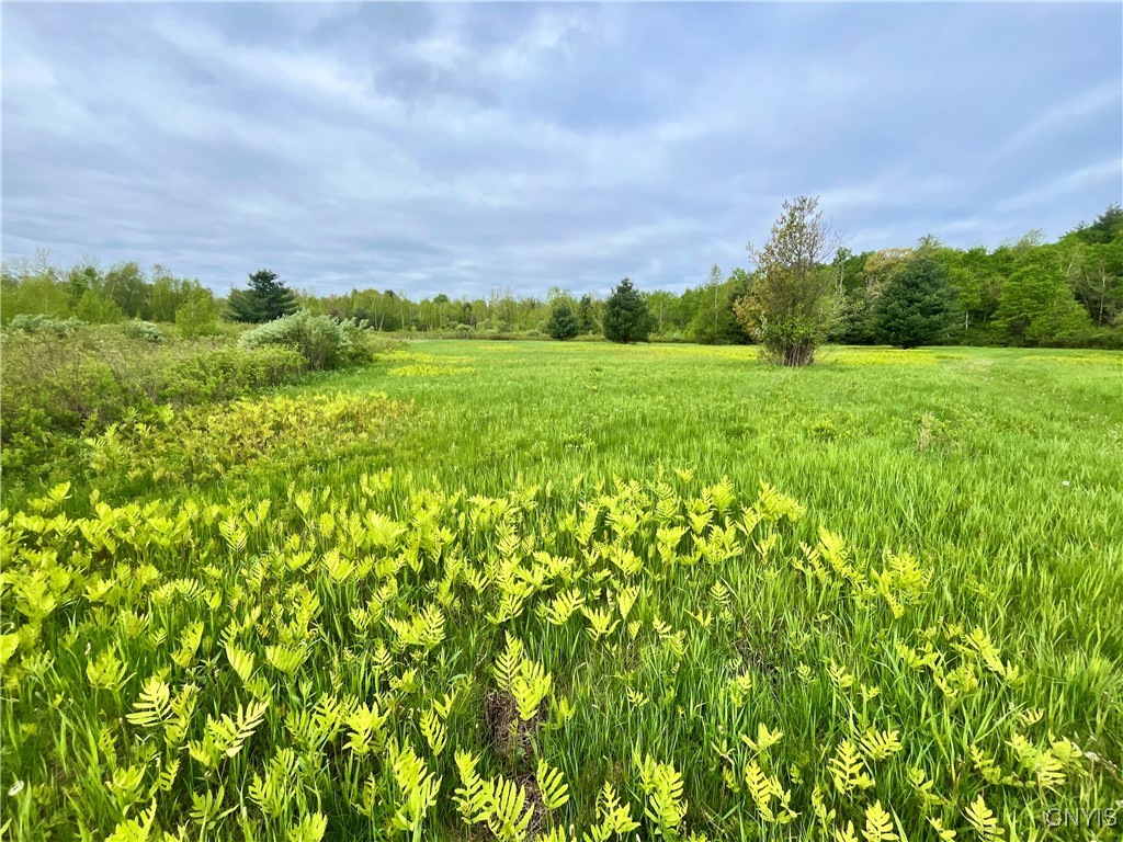 37224 County Route 4, Clayton, New York image 12
