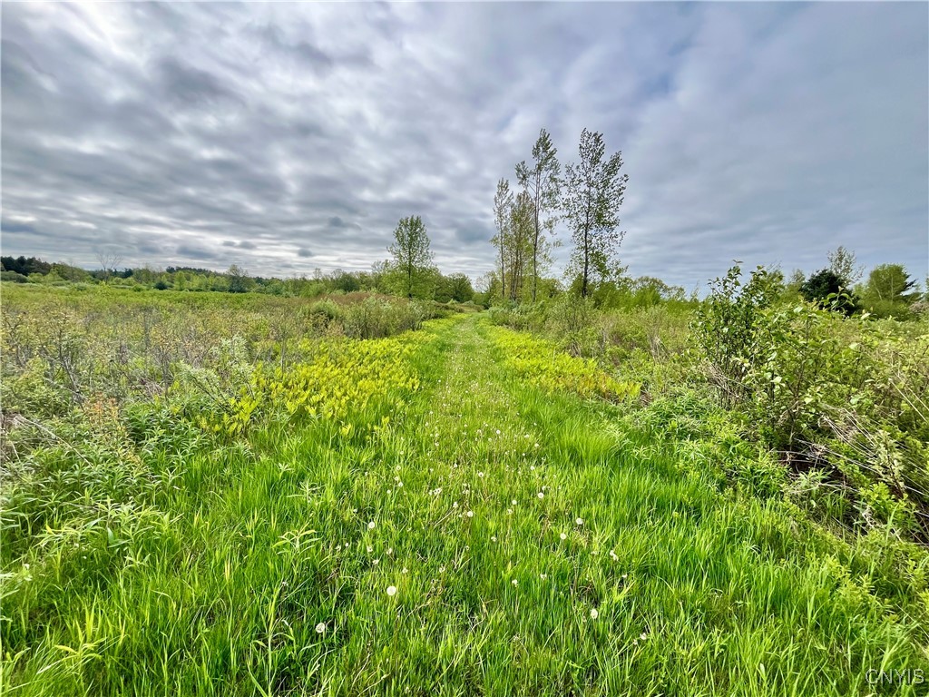 37224 County Route 4, Clayton, New York image 16