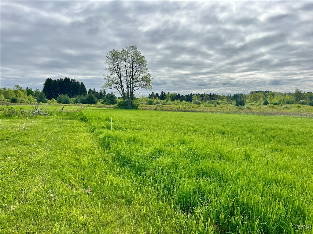 37224 County Route 4, Clayton, New York image 13