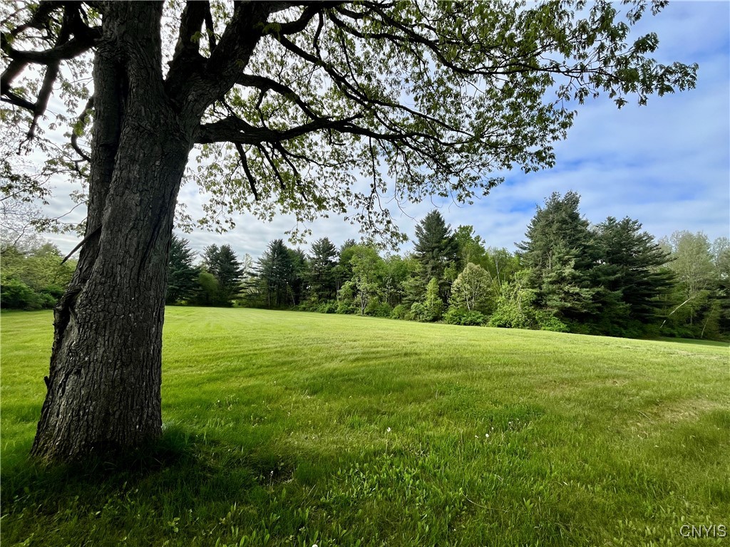 37224 County Route 4, Clayton, New York image 21