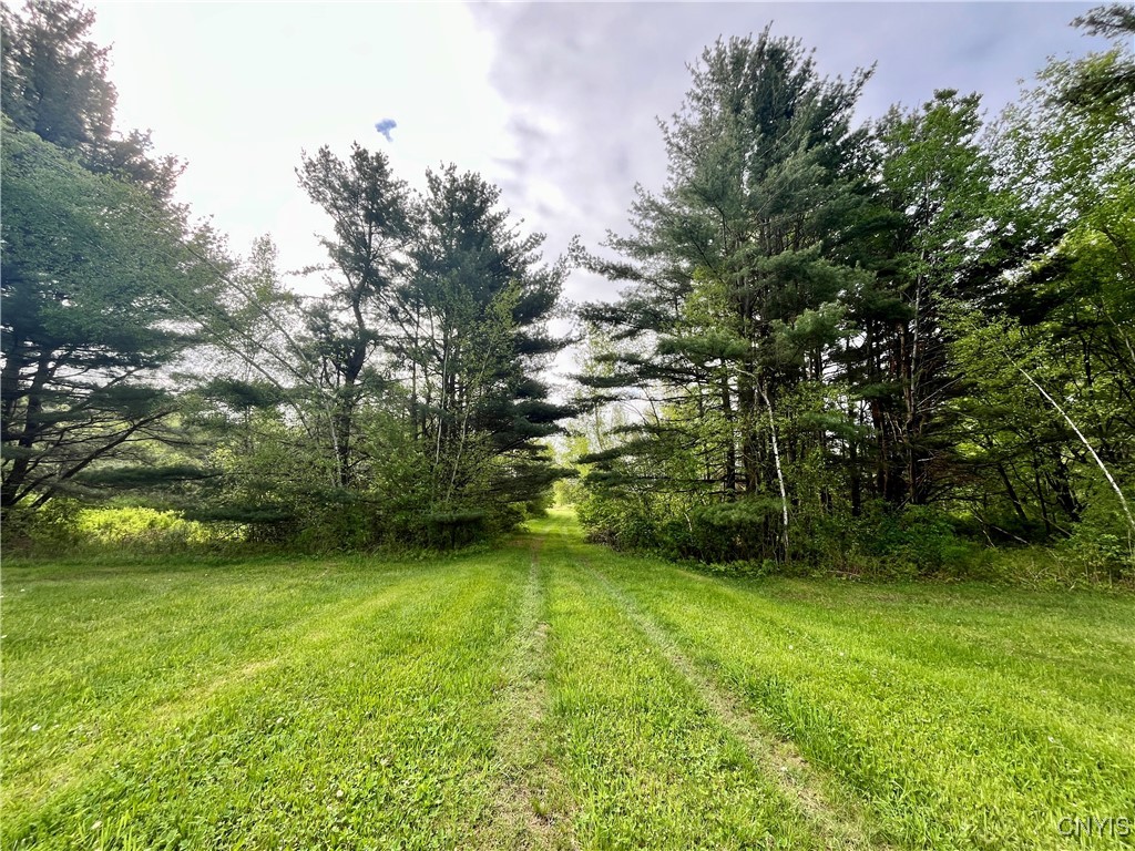 37224 County Route 4, Clayton, New York image 22