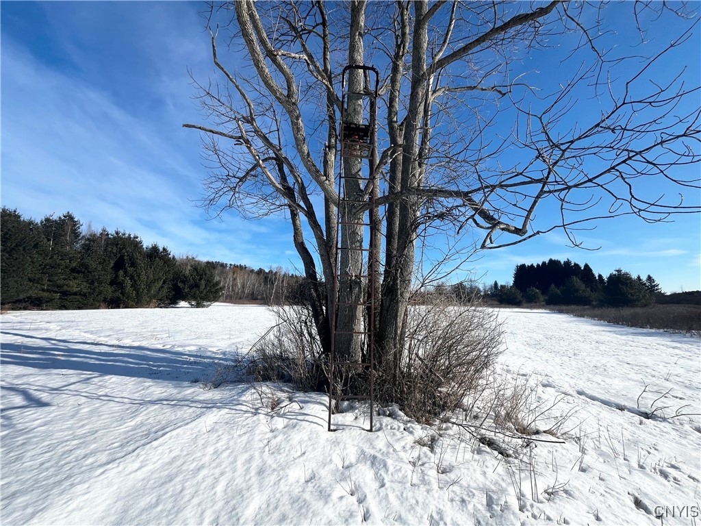 37224 County Route 4, Clayton, New York image 19