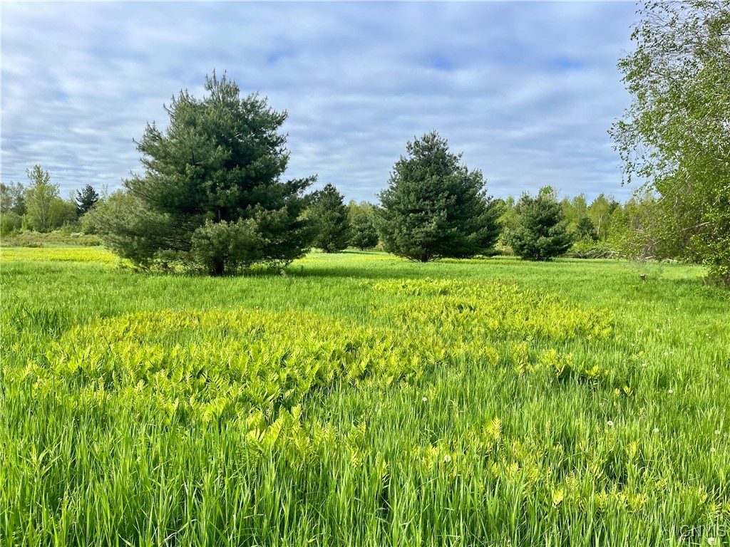37224 County Route 4, Clayton, New York image 17