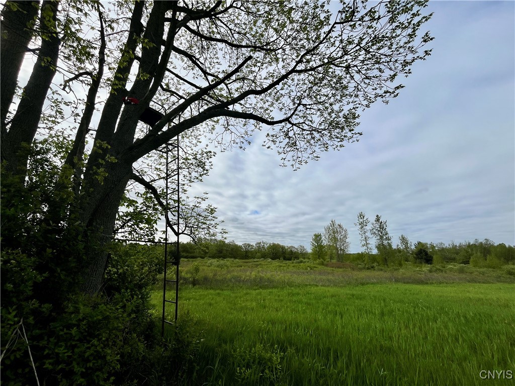 37224 County Route 4, Clayton, New York image 14