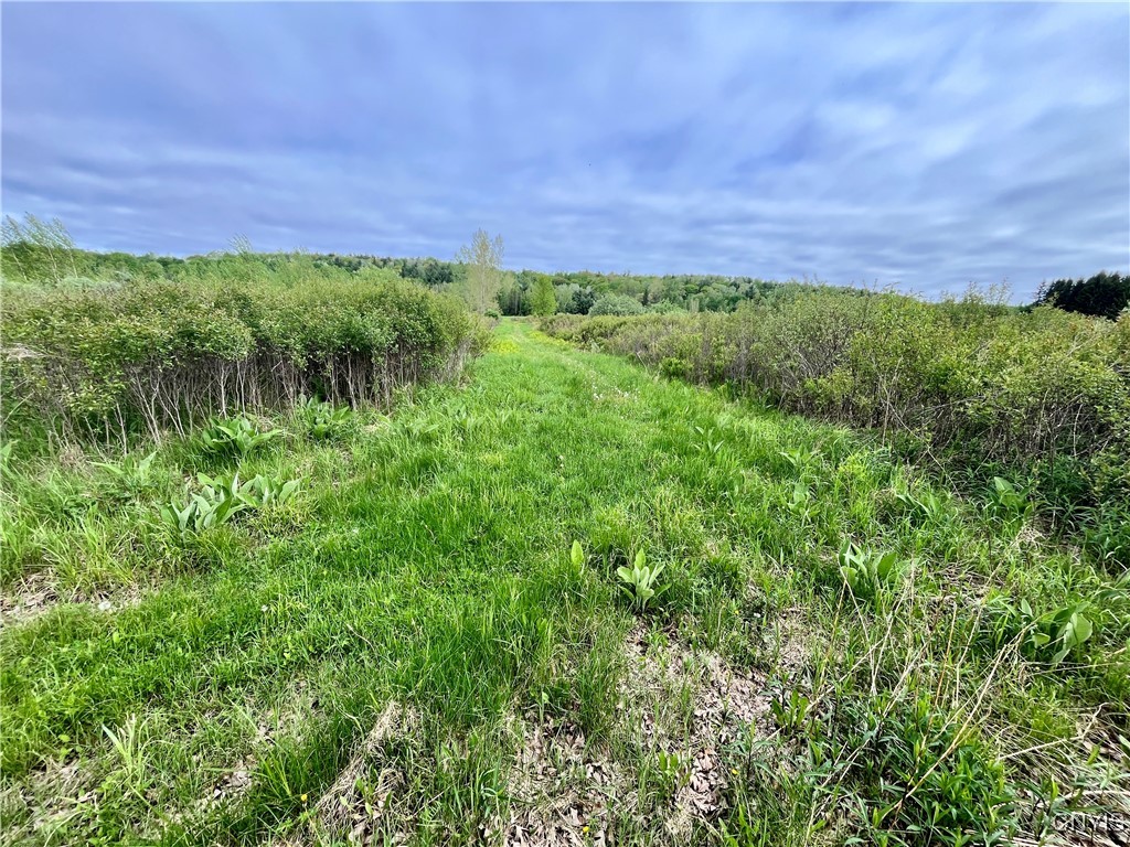 37224 County Route 4, Clayton, New York image 11