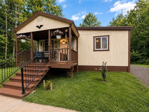 Homes For Sale - 5491 Carr Road<br/> Willet, NY 13863