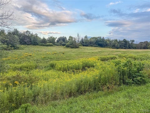 Vacant Land For Sale - Cr-22<br/> Antwerp, NY 13691