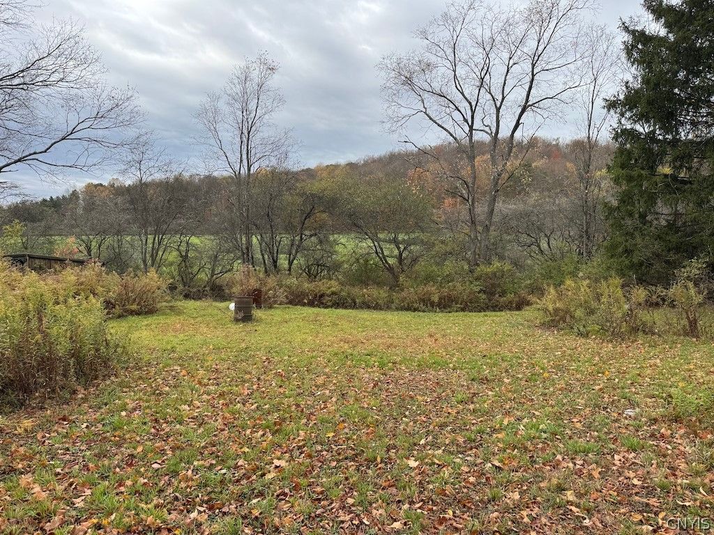 Photo of 9337 New Albion Road, New Albion, NY 14719 (MLS # S1668974)