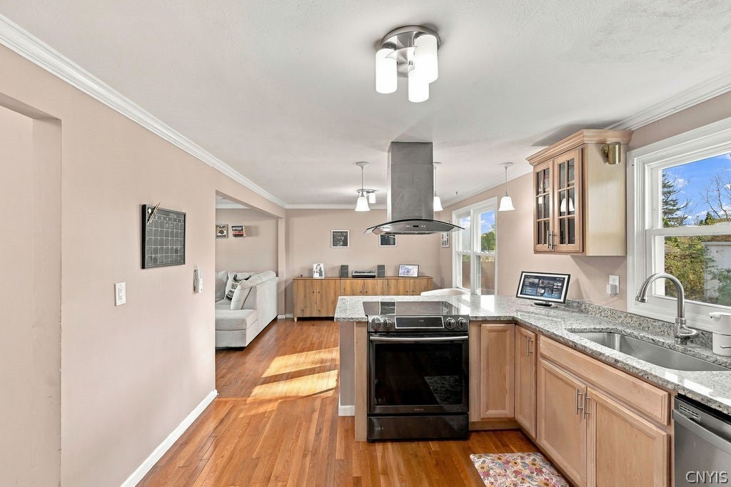 8231 Coconut Tree Drive