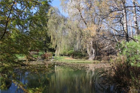 Tiny photo for 1047 Wall Street, Winfield, NY 13357 (MLS # S1647788)