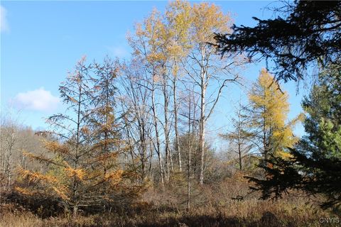 Tiny photo for 1047 Wall Street, Winfield, NY 13357 (MLS # S1647788)