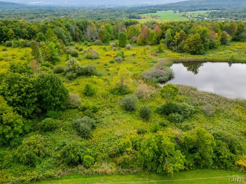 Photo of 144 Louis Ridge rd, Schuyler, NY 13340 (MLS # S1716256)