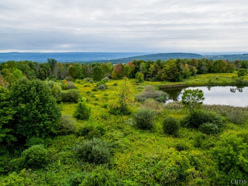 Photo of 144 Louis Ridge rd, Schuyler, NY 13340 (MLS # S1716256)