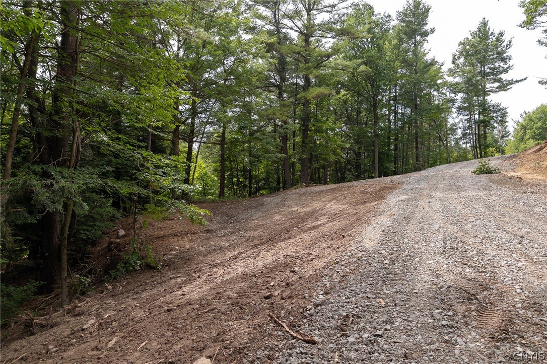 Beachfront Lane, Theresa, New York image 6