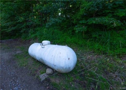 Tiny photo for 2223 State Route 5s, Danube, NY 13365 (MLS # S1724308)