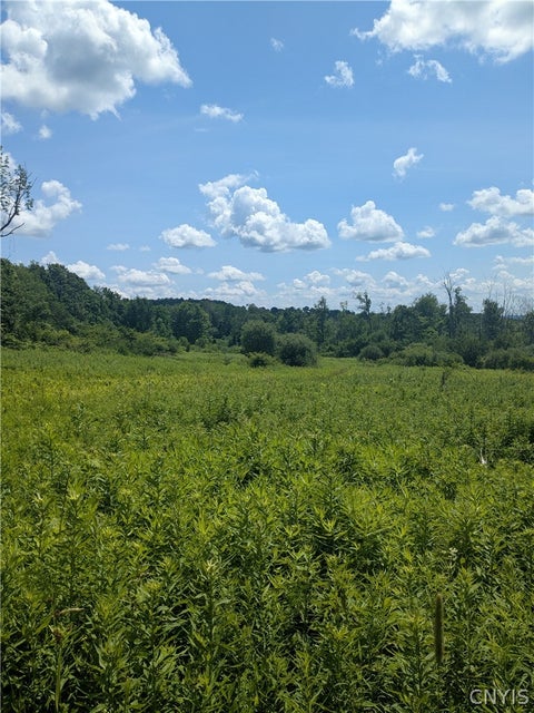 Photo for 00 Sulphur Springs Rd Road