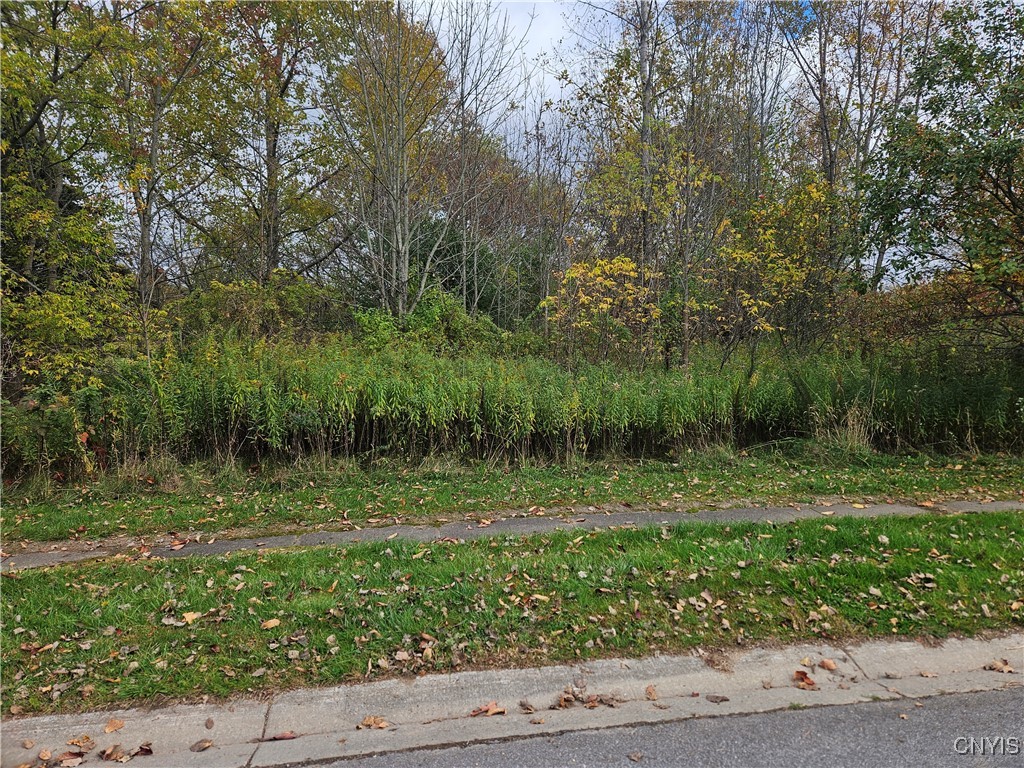 Salmon Meadow Lane
